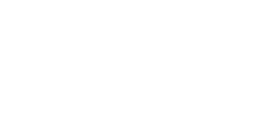 255-Team