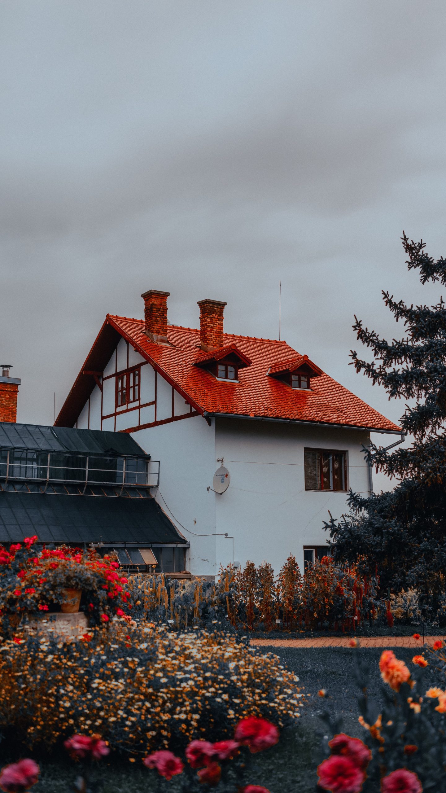 pexels-didsss-33312397